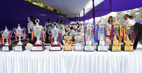 awards and achievements