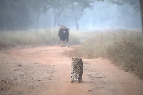 Global Recognition for Viivaan Srinivvasan - Young Wildlife Photographer